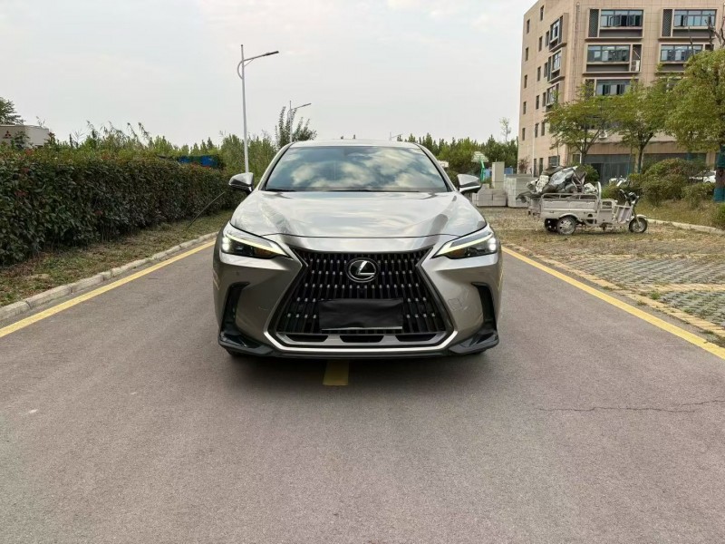 徐州22年雷克萨斯NX1