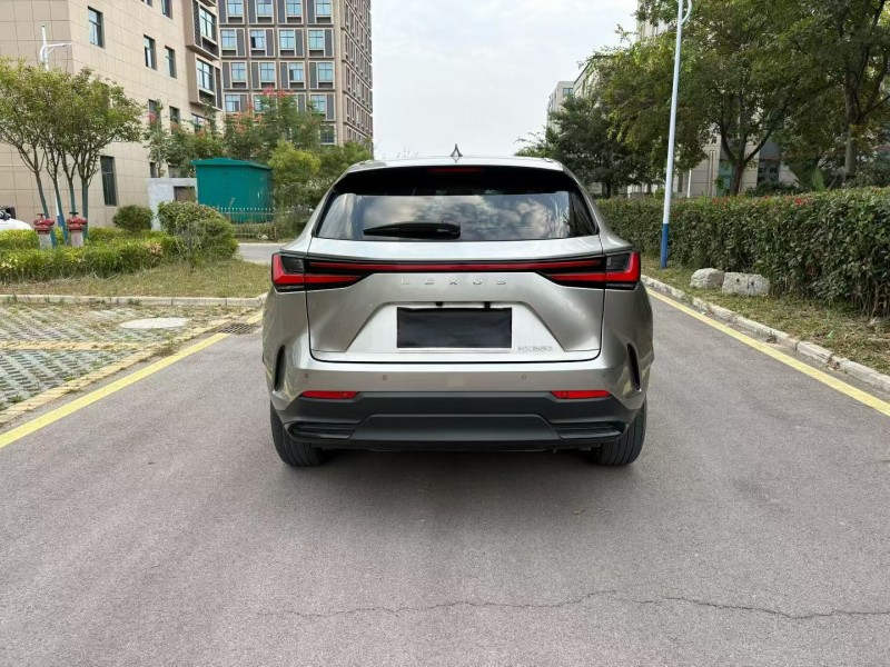 徐州22年雷克萨斯NX9