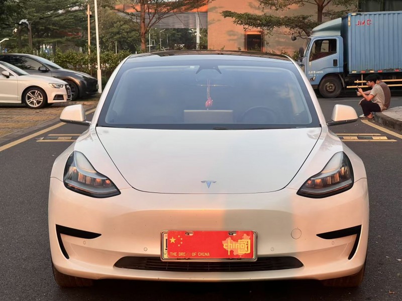 广州20年特斯拉MODEL 31