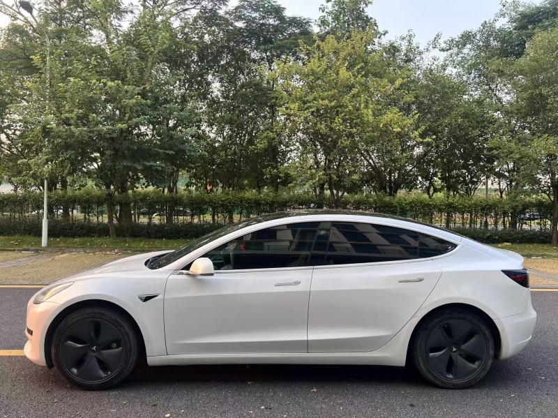 广州20年特斯拉MODEL 33