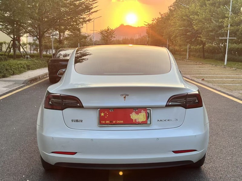 广州20年特斯拉MODEL 36