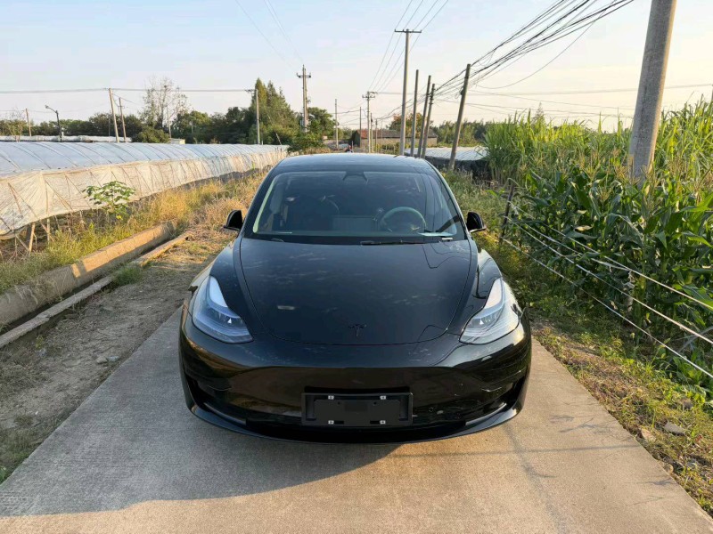 台州23年特斯拉MODEL 31