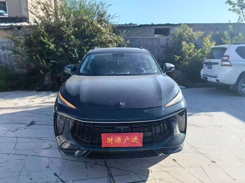 东营23年东风风行1