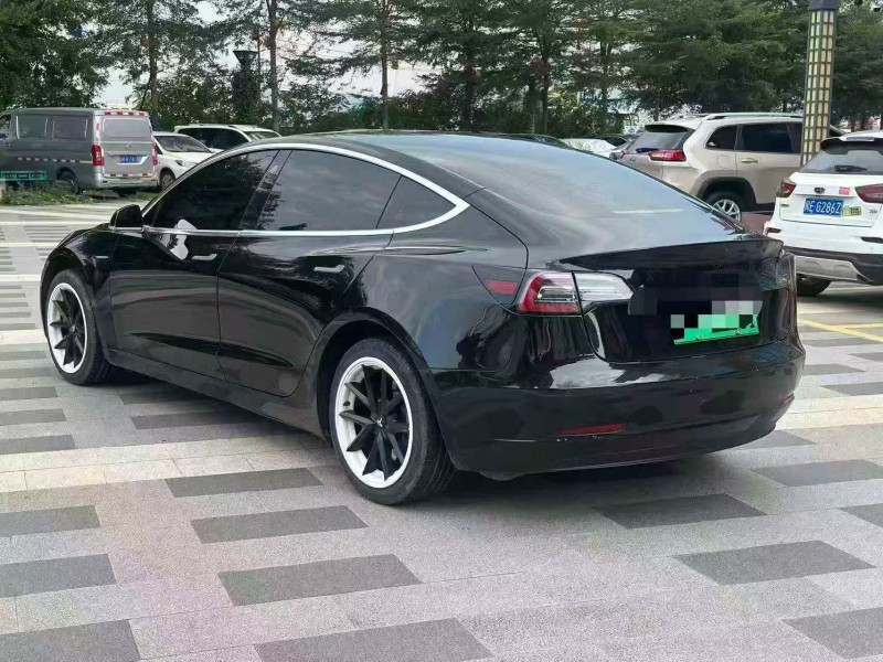 三明20年特斯拉MODEL 38