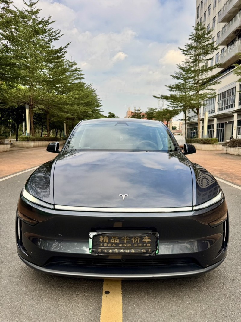 东莞25年特斯拉MODEL Y1