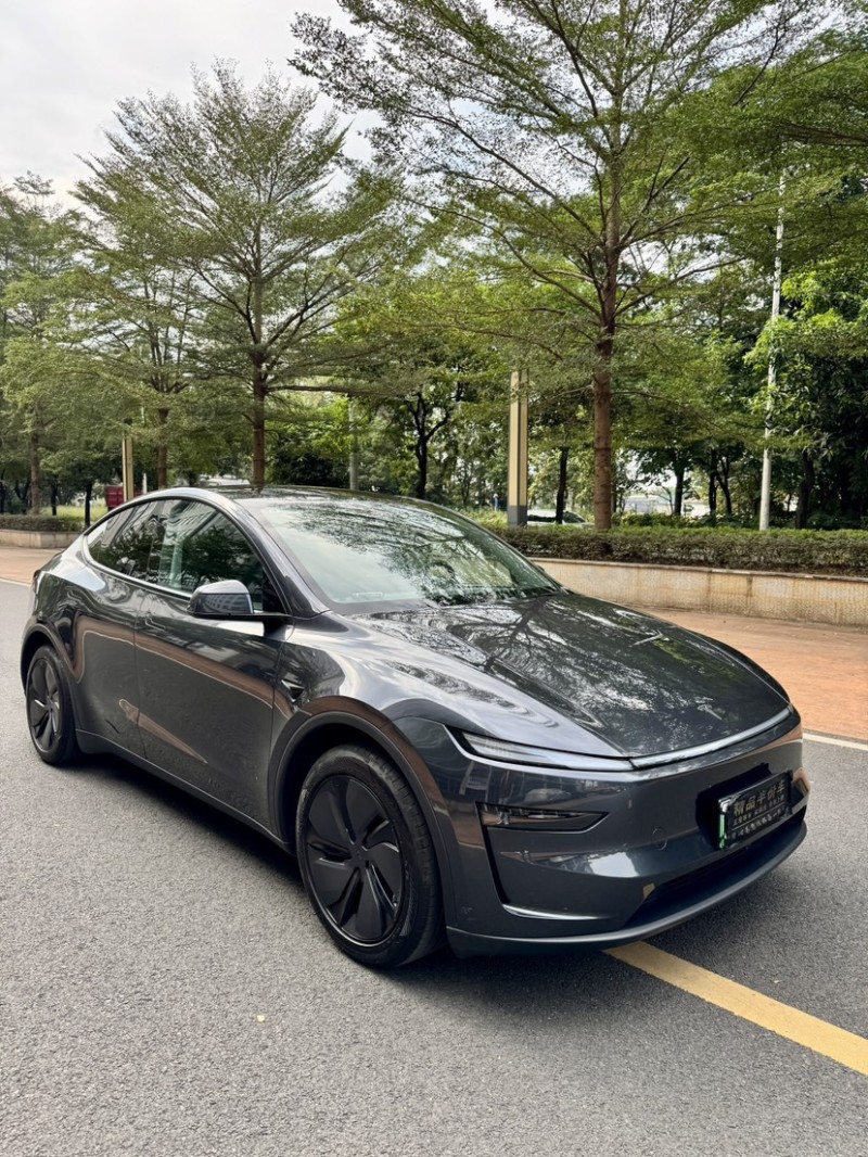 东莞25年特斯拉MODEL Y3