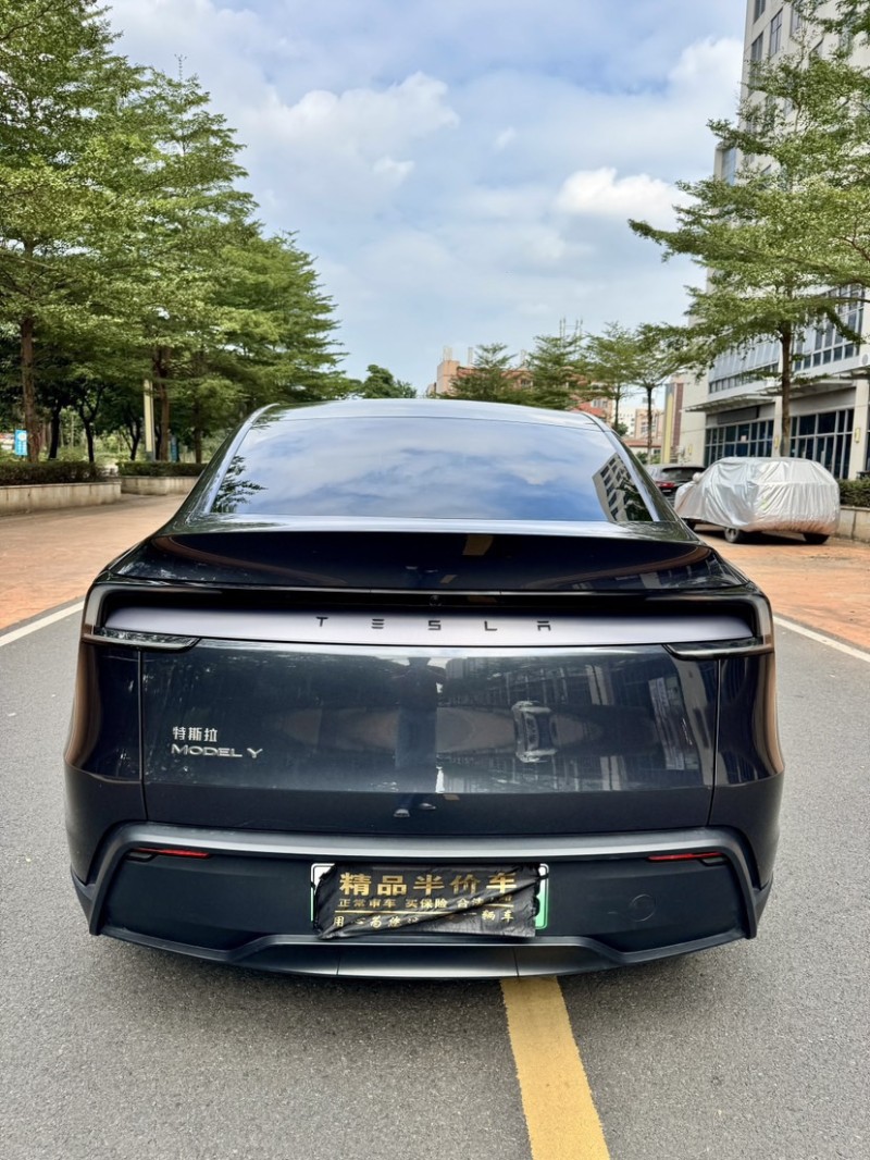 东莞25年特斯拉MODEL Y9